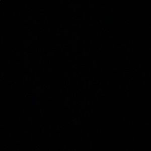 Meet your Posher, Addison